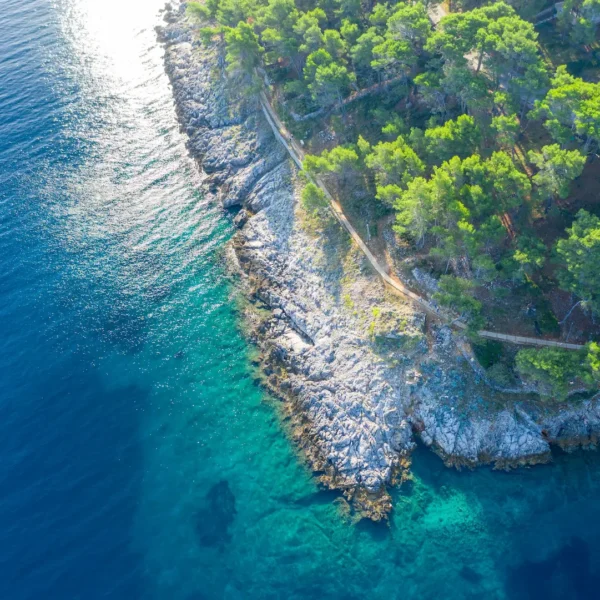 Aerial view of rocky Adriatic coastline with crystal clear water and green pine trees in Croatia