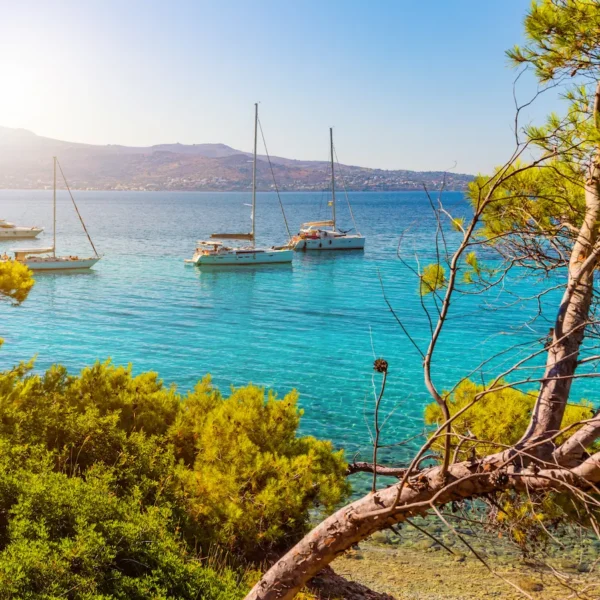 Anchored yachts in a calm Adriatic bay during a private boat tour