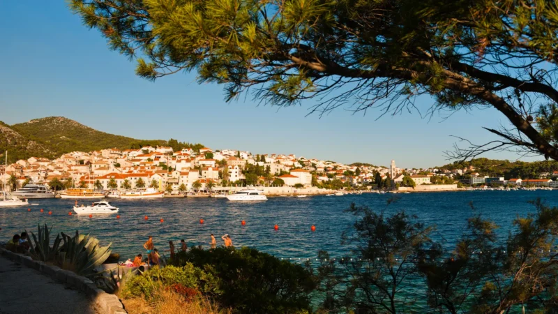 View of Hvar Town harbour during Hvar Horizons boat tour