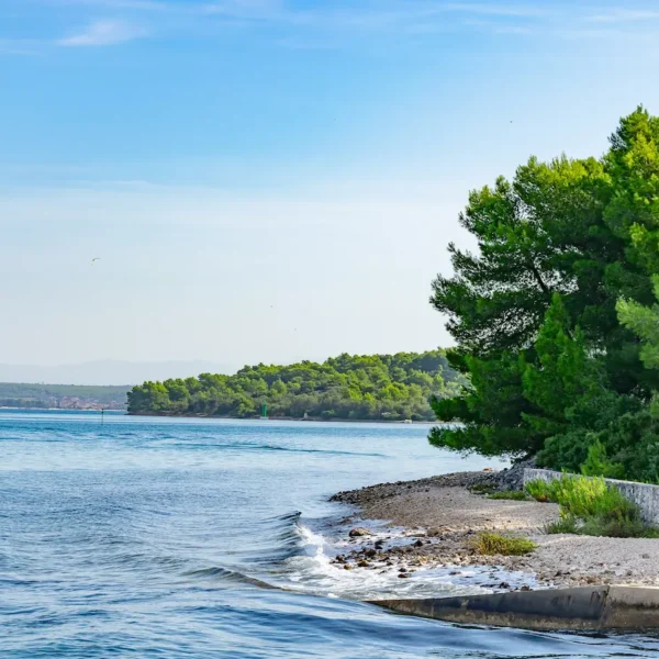 Milna brac quiet bay dalmatian drift tour.webp