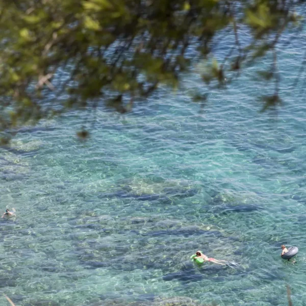 People swimming in crystal clear Adriatic sea surrounded by natural coastline in Croatia